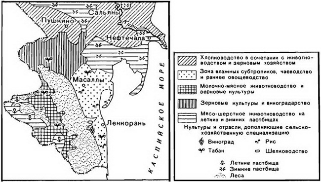 Синтетическая карта это